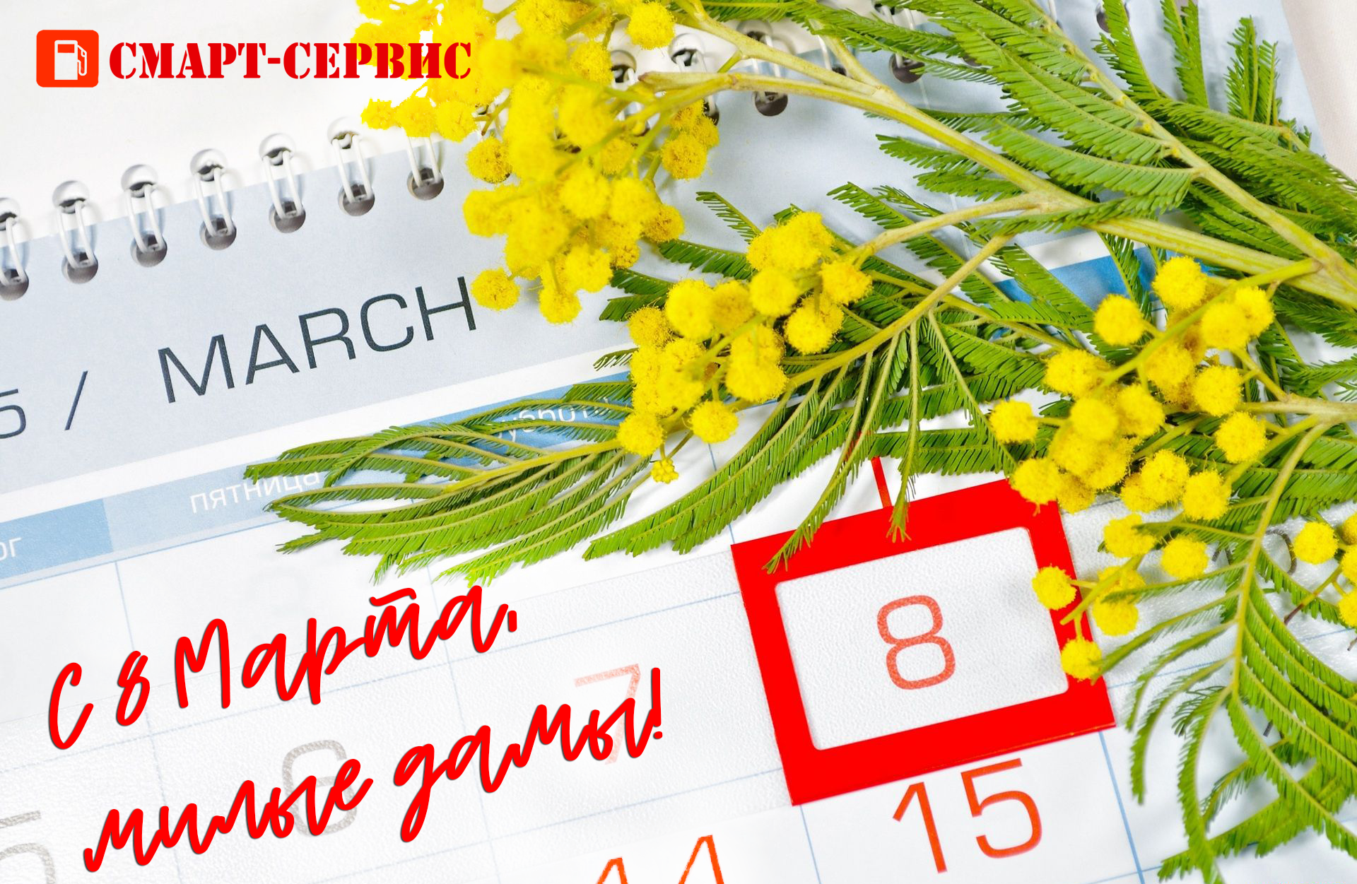 Международный Женский День 2022